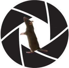 Mouserecord\_logo.jpg